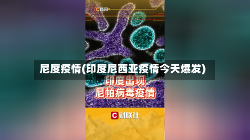 尼度疫情(印度尼西亚疫情今天爆发)-第2张图片