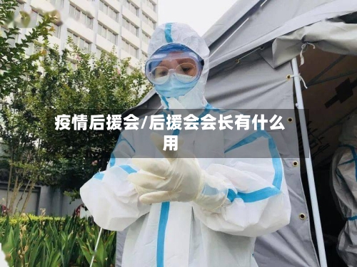 疫情后援会/后援会会长有什么用-第2张图片