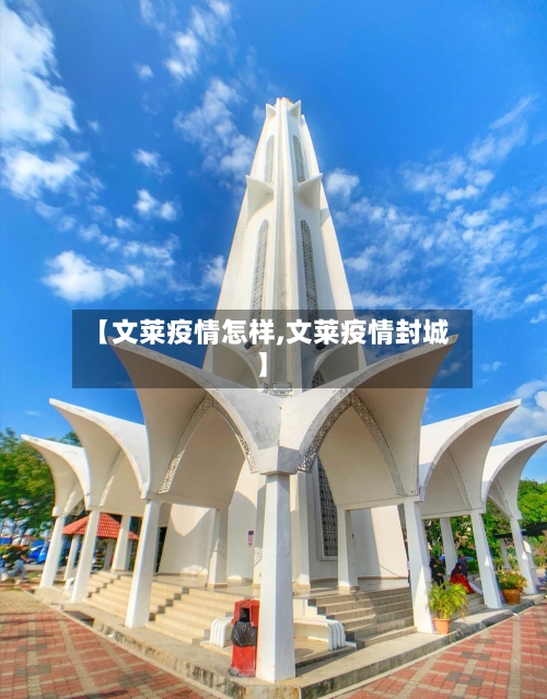 【文莱疫情怎样,文莱疫情封城】-第3张图片