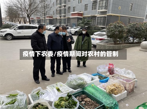 疫情下农委/疫情期间对农村的管制