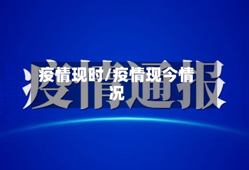 疫情现时/疫情现今情况-第2张图片