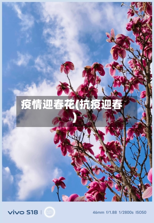 疫情迎春花(抗疫迎春)