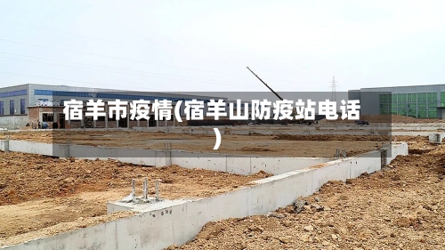 宿羊市疫情(宿羊山防疫站电话)-第2张图片