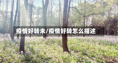 疫情好转未/疫情好转怎么描述
