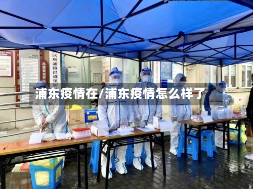 浦东疫情在/浦东疫情怎么样了
