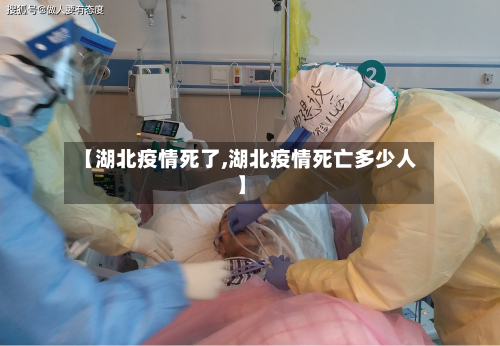 【湖北疫情死了,湖北疫情死亡多少人】-第2张图片