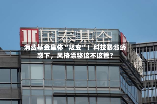消费基金集体“叛变	”！科技暴涨诱惑下	，风格漂移该不该管？-第3张图片